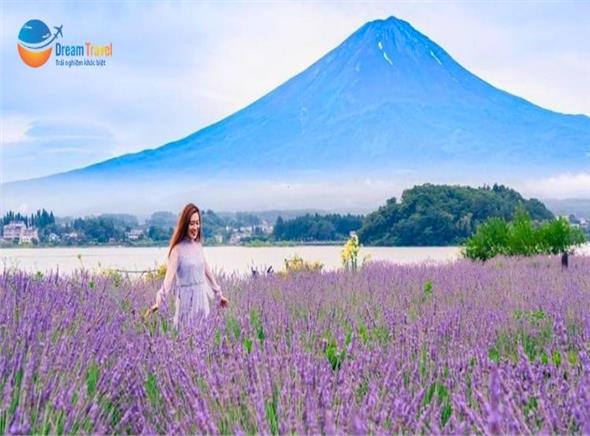 Tour Nhật Bản Cung Đường Làng Cổ Shirakawa-go 6N5Đ